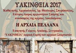 yakinueia 2017tn 
