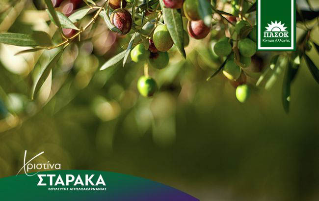 staraka olivestn copy