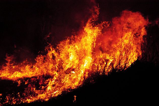 firetn 