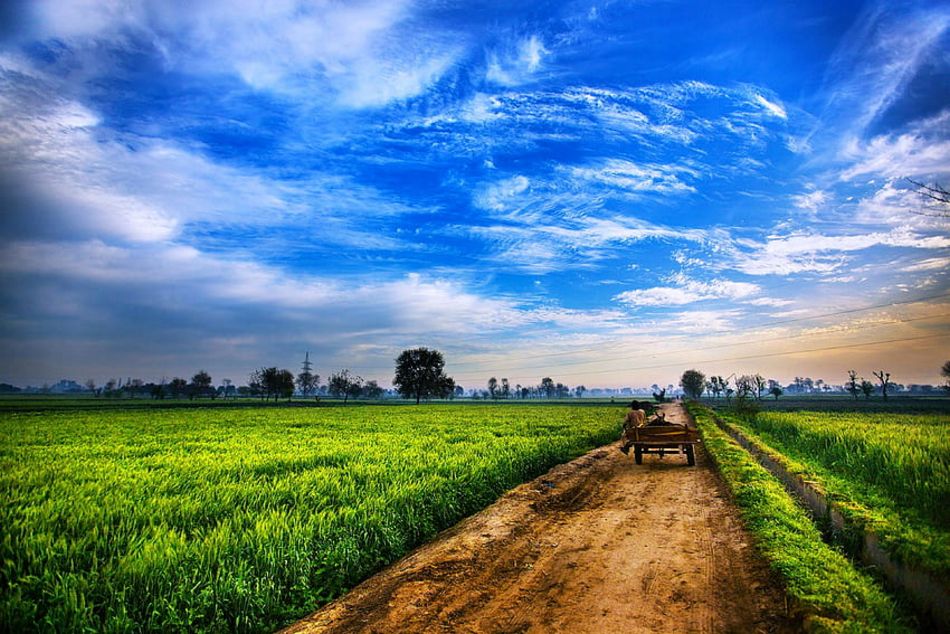 agriculture 1tn 