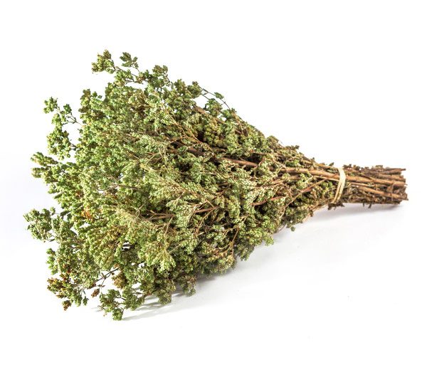 Oregano matsaki